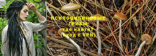 кокаин колумбия Вяземский