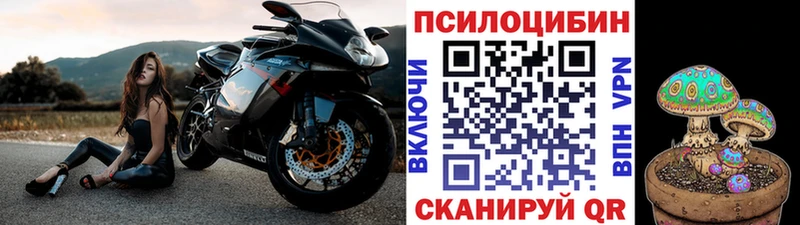 Псилоцибиновые грибы мицелий  Звенигово 
